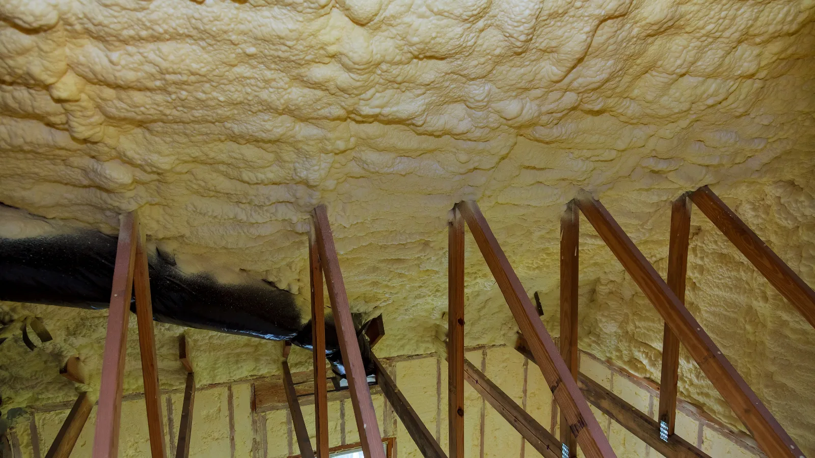Spray Foam Removal